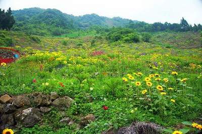 成都哪个命理風水师看住宅風水厉害<穆六垚>