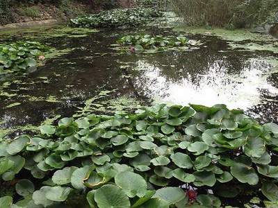 九龙坡哪个能看自建房的周易風水师