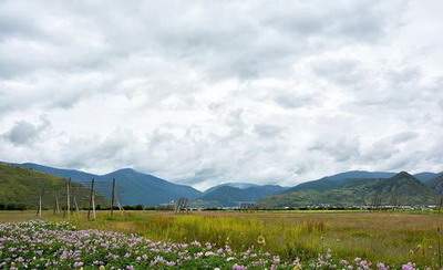風水师驱邪