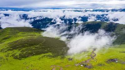 南岸本地風水调理谁