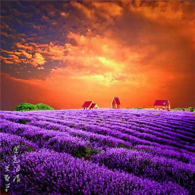 大渡口有名的命理風水师找哪个好些