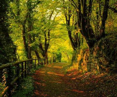 渝北周易風水师谁