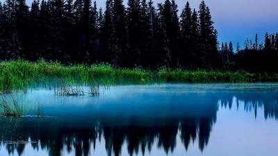 南岸灵验的算命师傅哪个好