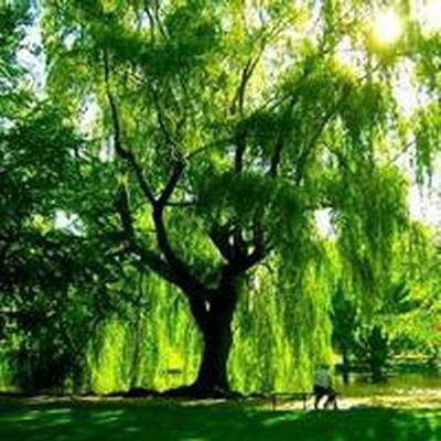 江北哪有看培训机构的命理大師