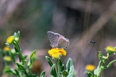 九龙坡专业風水玄学大師哪个口碑好