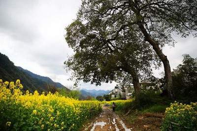 沙坪坝有名的算命風水大師哪个算命最准