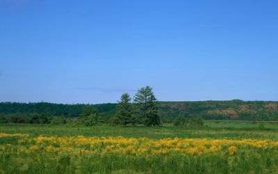农村自建室外厨房風水布局