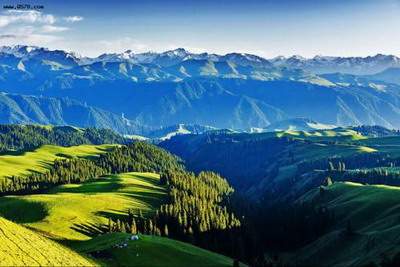 南岸好点的八字命理大師哪个出名