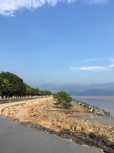 北碚厉害的風水老师哪个更有名