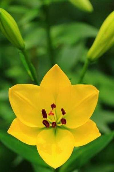 沙坪坝哪里找得到看祖坟的易学風水师