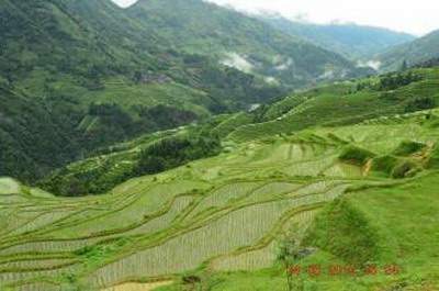 南川请风水大师看健康风水咋收费的