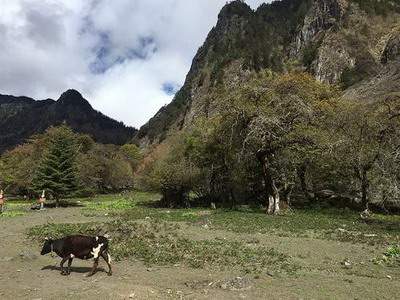客厅墙壁的颜色风水讲究图片_万寿山社区
