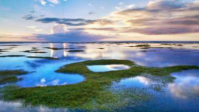 沙坪坝哪里有看洗浴中心的风水命理大师