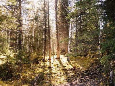 北碚哪里可以请到看早餐店的命理大師