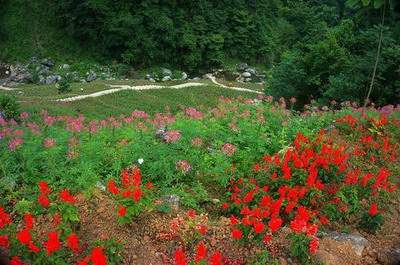 大渡口专业阴宅風水大師有哪些
