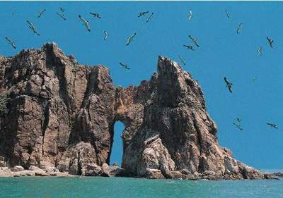 大渡口比较有名的命理大師找哪个好些