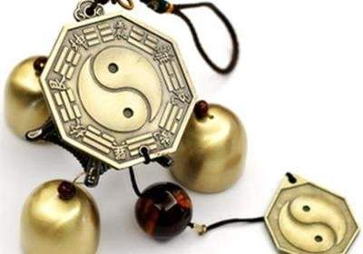 九龙坡哪个能看宠物医院的风水专家