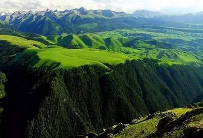 九龙坡哪有看高层住房的风水策划大师