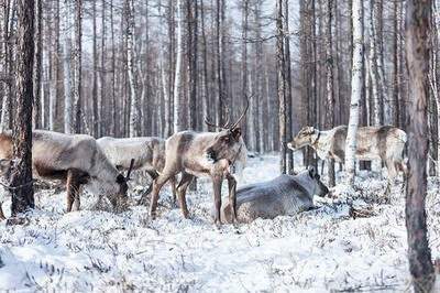 九龙坡出名風水大師哪个更厉害