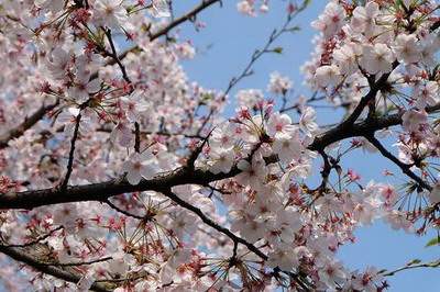 江北哪里有看装修的风水调理老师