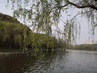 南岸哪里找看奶茶店的風水老师