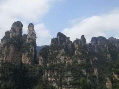 屏风最招财的图案_漫山居