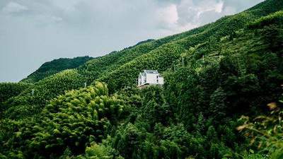 长坪乡哪个风水大师看餐馆风水最厉害_乾缘堂陆淼淼（叁荷）