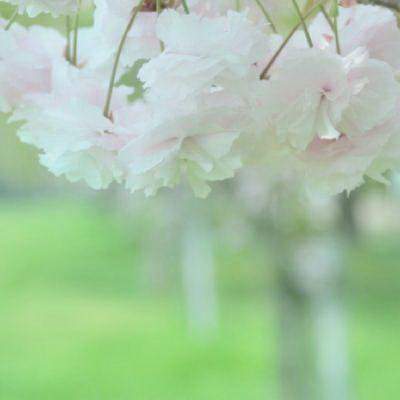 九龙坡专业风水师哪个口碑更好