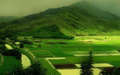 南岸哪里找看自助餐厅的易学风水师