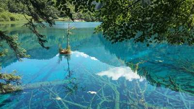 渝北哪里可以请到看新房装修的命理大師