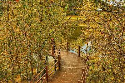 家居沙发靠墙好吗