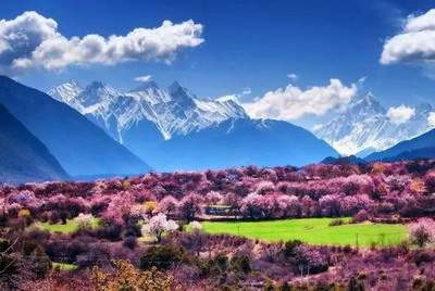 2023年本命年买房的風水禁忌_柳荫街