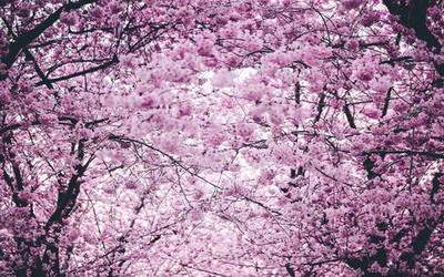 渝北看風水玄学大師谁更厉害