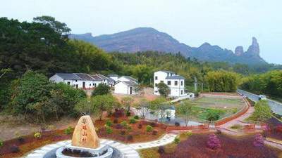 花草招财旺运图片_同景际城G区