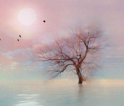 九龙坡風水师谁更有名气