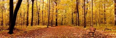 店铺摆件摆放位置_两江曲院风荷