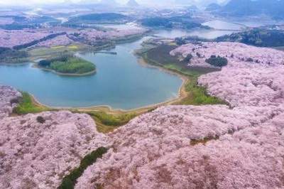 沙坪坝专业风水大师谁看得好