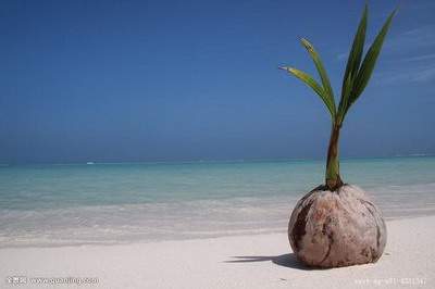 九龙坡好的阴宅風水大師哪个看得好