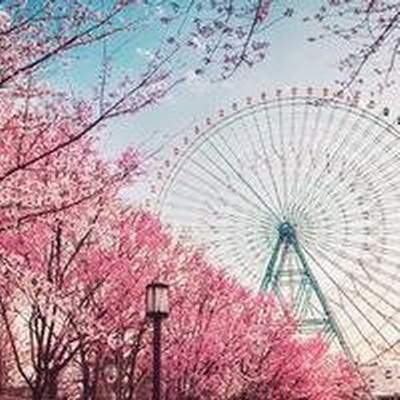 厨房能洗澡吗_华夏城二区