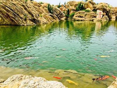 渝中本地易经风水大师哪个最厉害