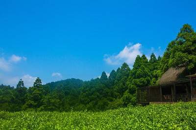 装修房子时有什么讲究_典雅花溪半岛一期高层