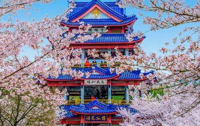 渝北有名的算命师傅哪个看得准