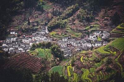 沙坪坝哪个能看高层住房的命理大師
