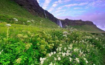 卧室里放桃花会不会影响夫妻感情_龙湖景