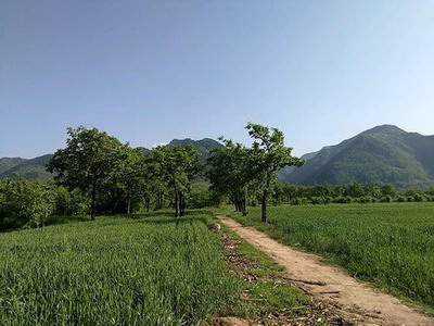 南岸哪有看农村住宅的風水