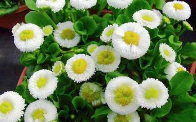 北碚哪有看长途车站的風水老师