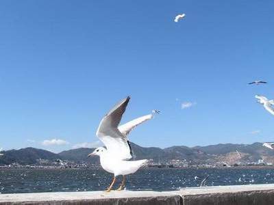 家庭装修风水讲究
