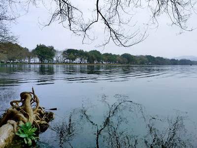 渝中哪里可以请到看家宅的易经風水大師