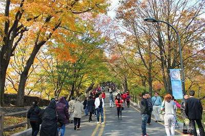 渝中本地著名的風水老师谁最厉害