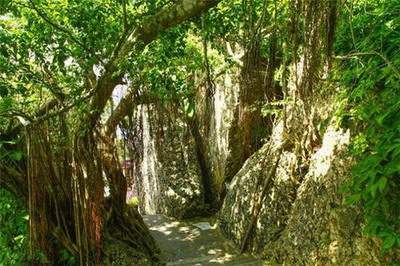 祖坟风水格局